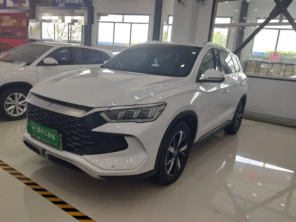 BYD Pro New Energy 2025