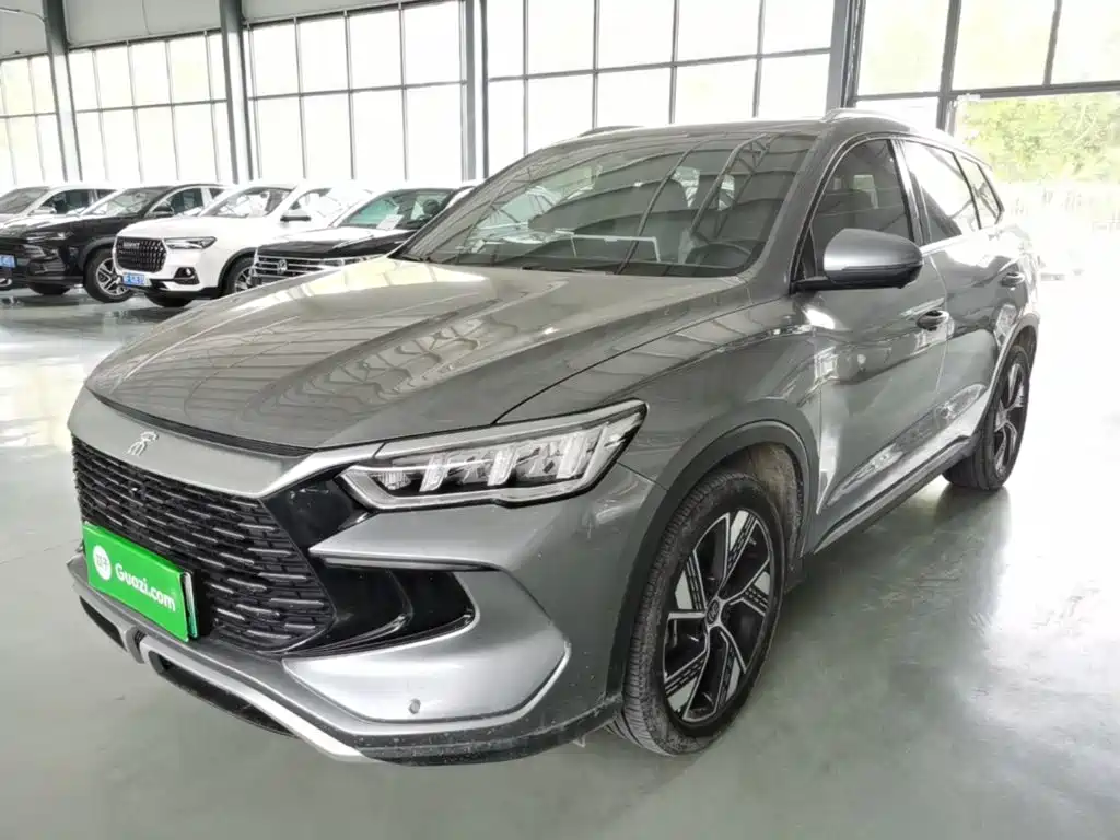 BYD Pro New Energy 2024
