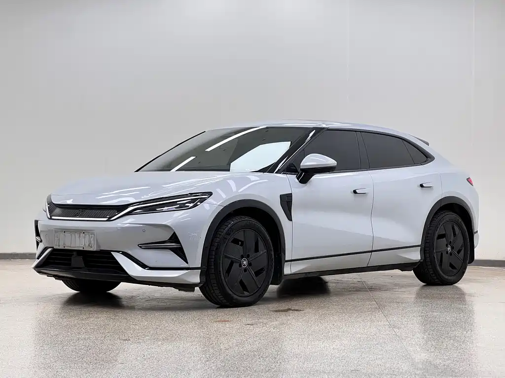 BYD L EV 2024