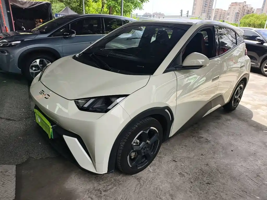 BYD Seagull 2024