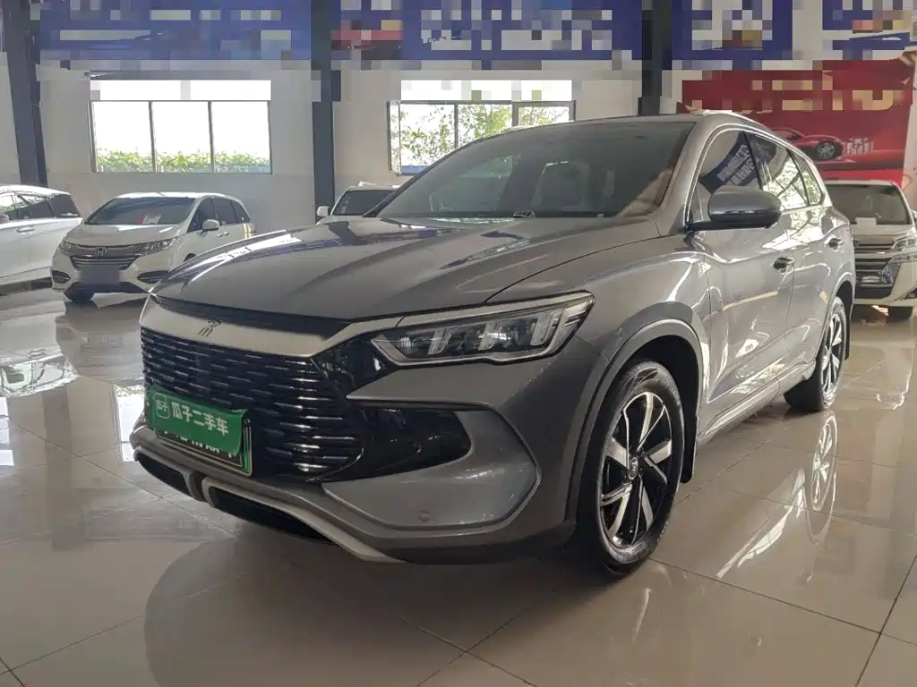 BYD Pro New Energy 2025