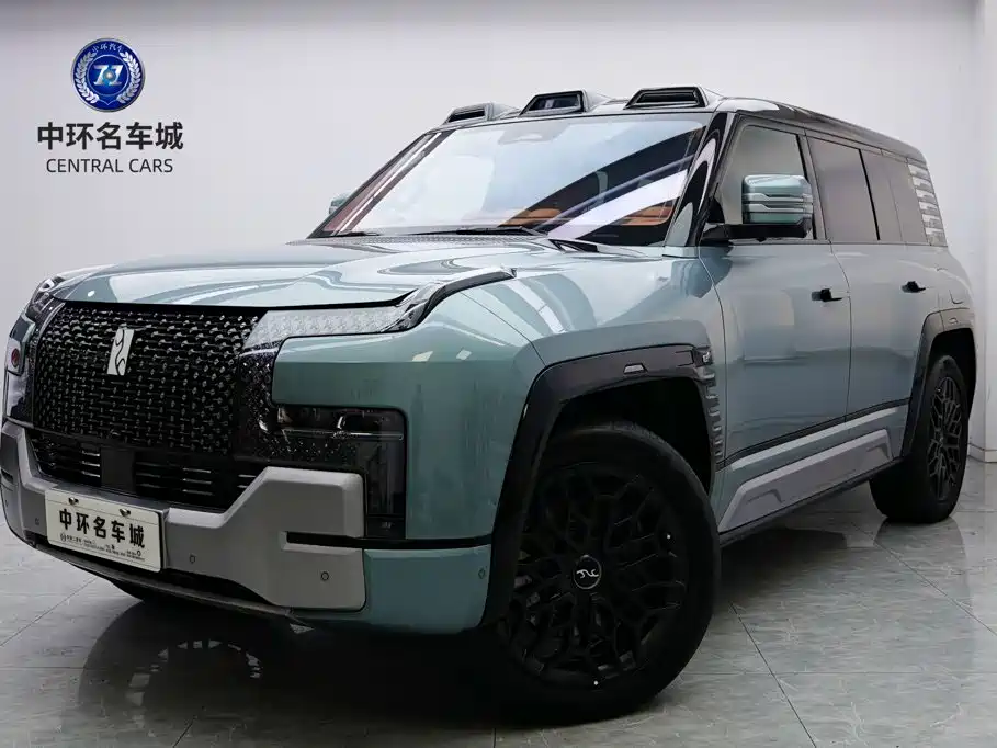YangWang Yangwang U8 2024