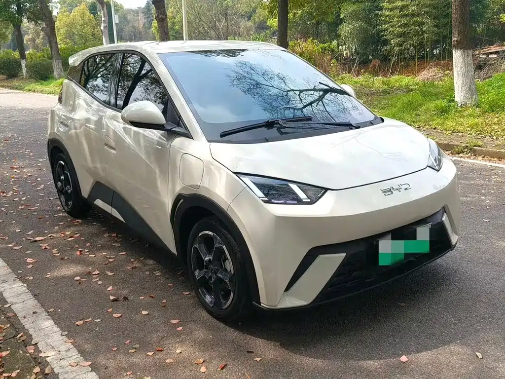 BYD Seagull 2024
