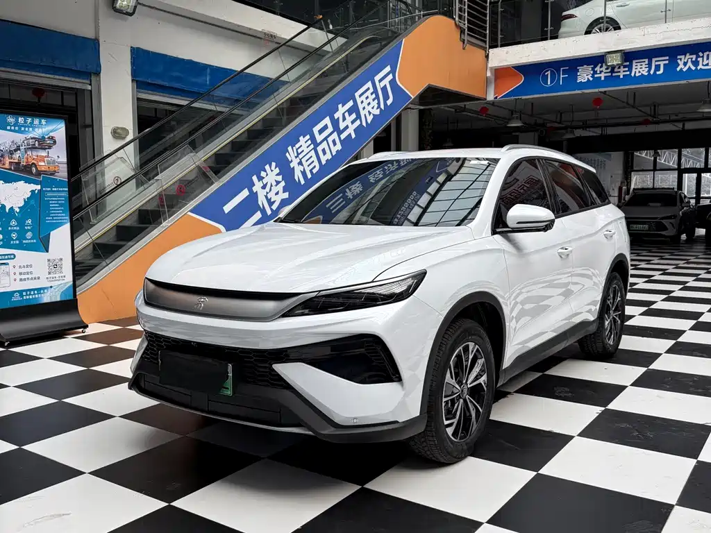 BYD Pro New Energy 2026