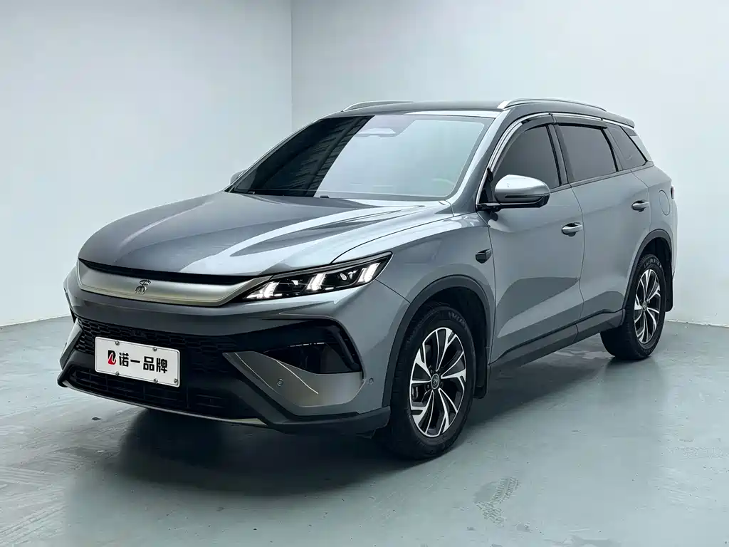 BYD Pro New Energy 2025