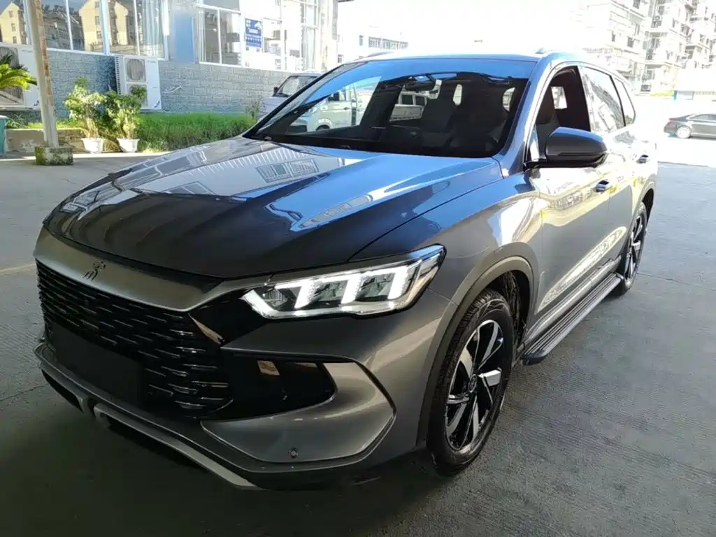 BYD Pro New Energy 2024