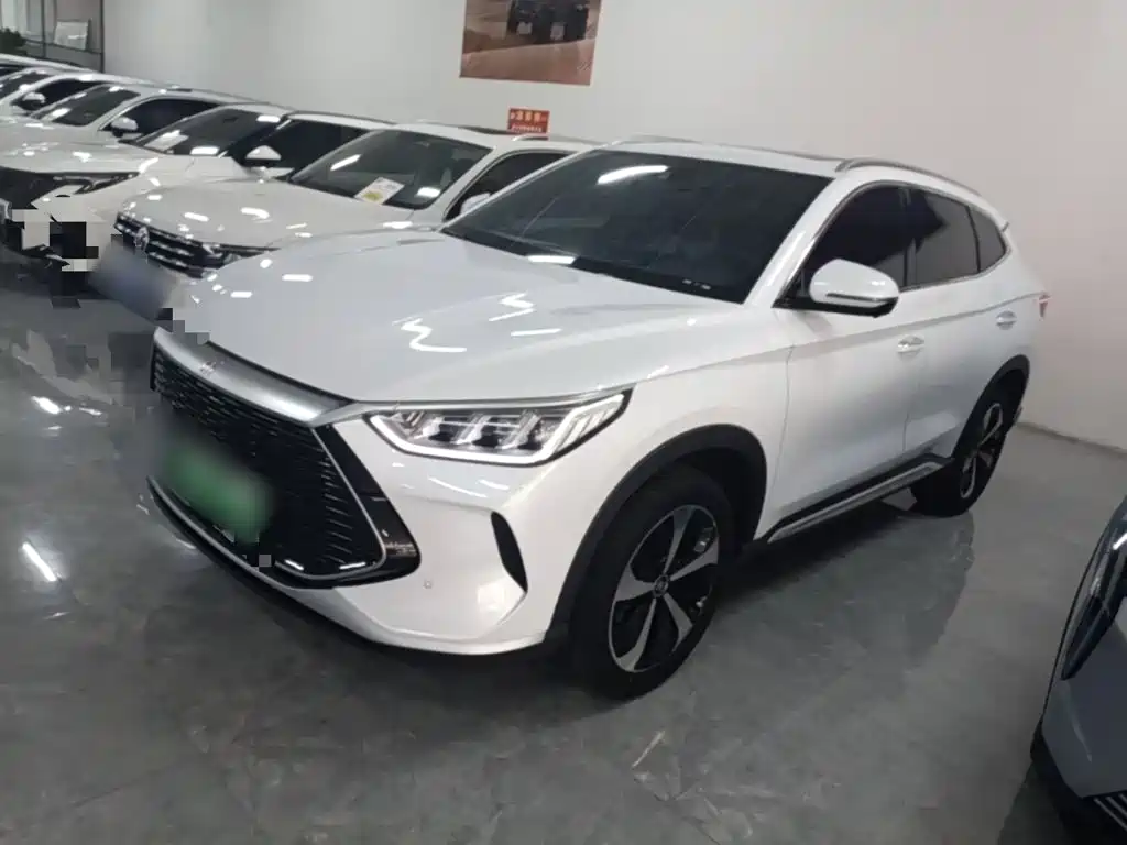 BYD PLUS New Energy 2022