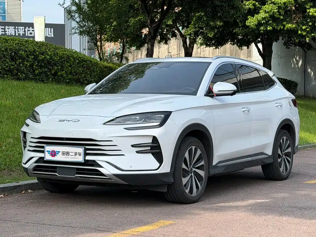 BYD PLUS New Energy 2024