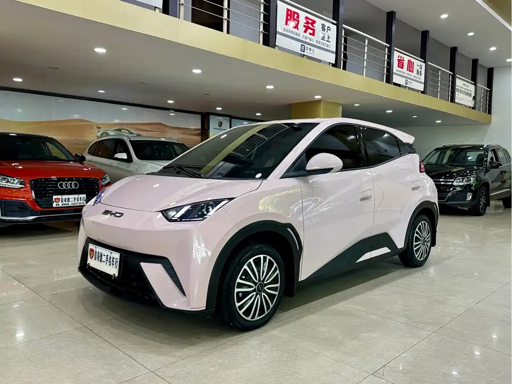 BYD Seagull 2024