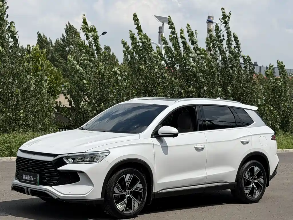 BYD Pro New Energy 2025