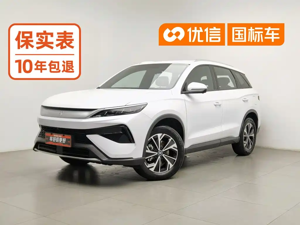BYD Pro New Energy 2025