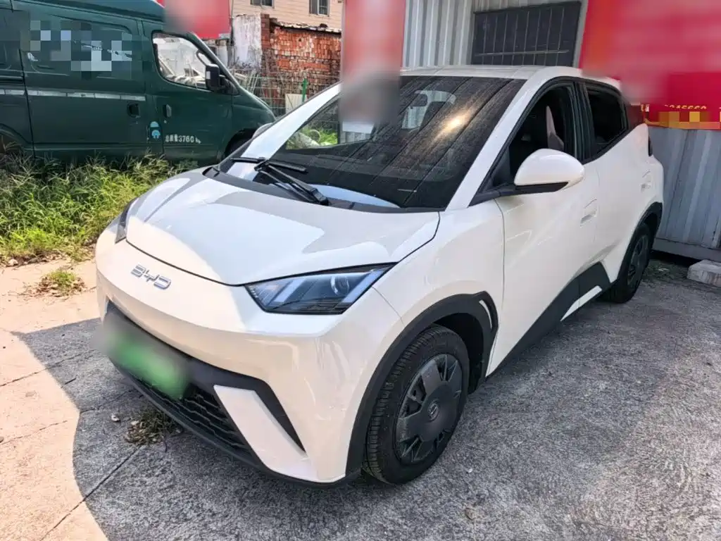 BYD Seagull 2024