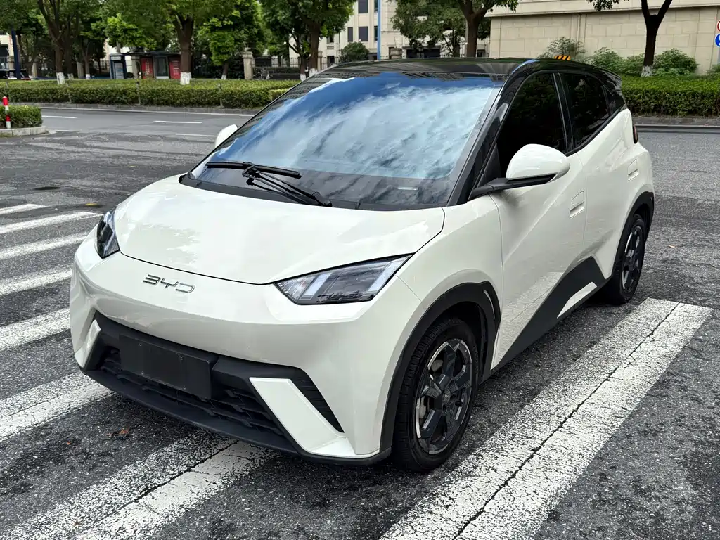 BYD Seagull 2024