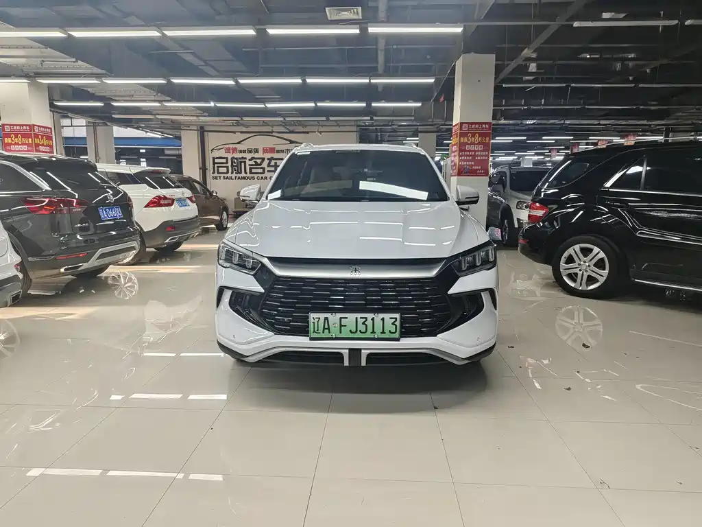 BYD Pro New Energy 2025
