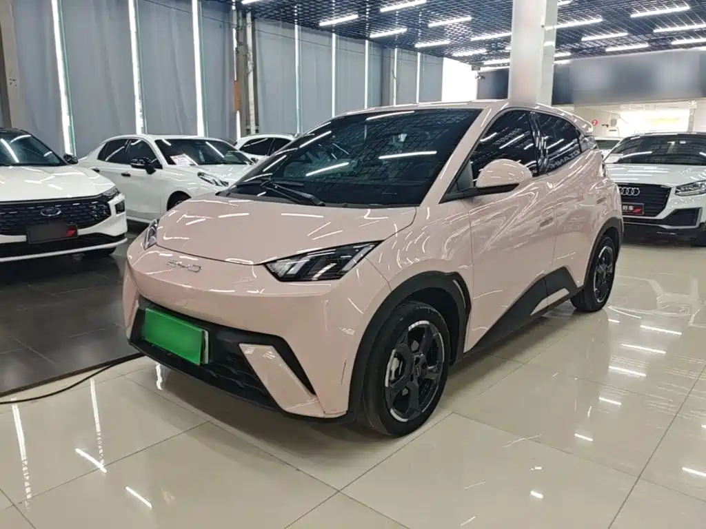 BYD Seagull 2024