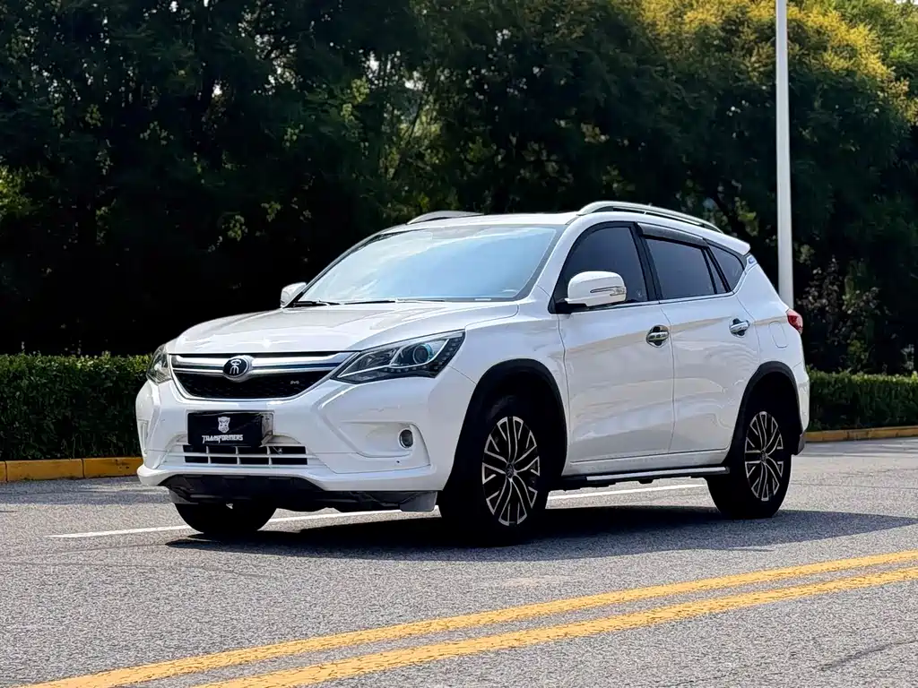 BYD New Energy 2017