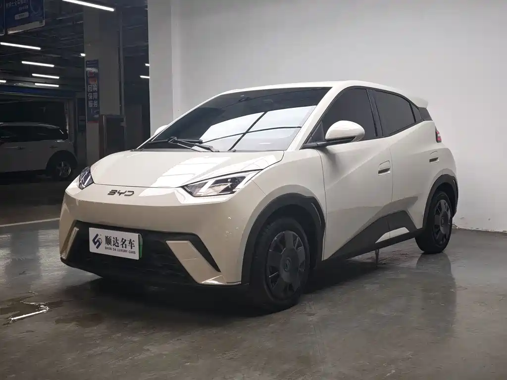 BYD Seagull 2025
