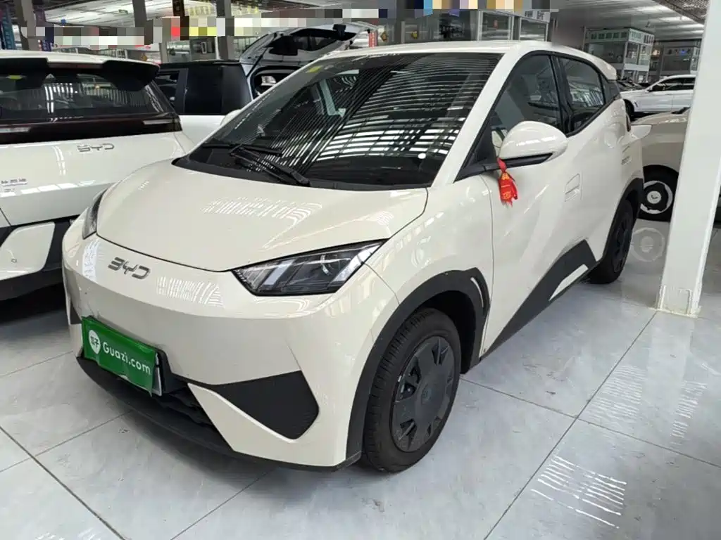 BYD Seagull 2026