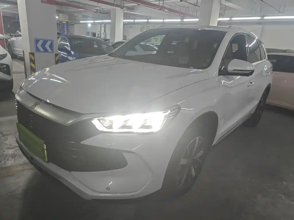 BYD Pro New Energy 2024
