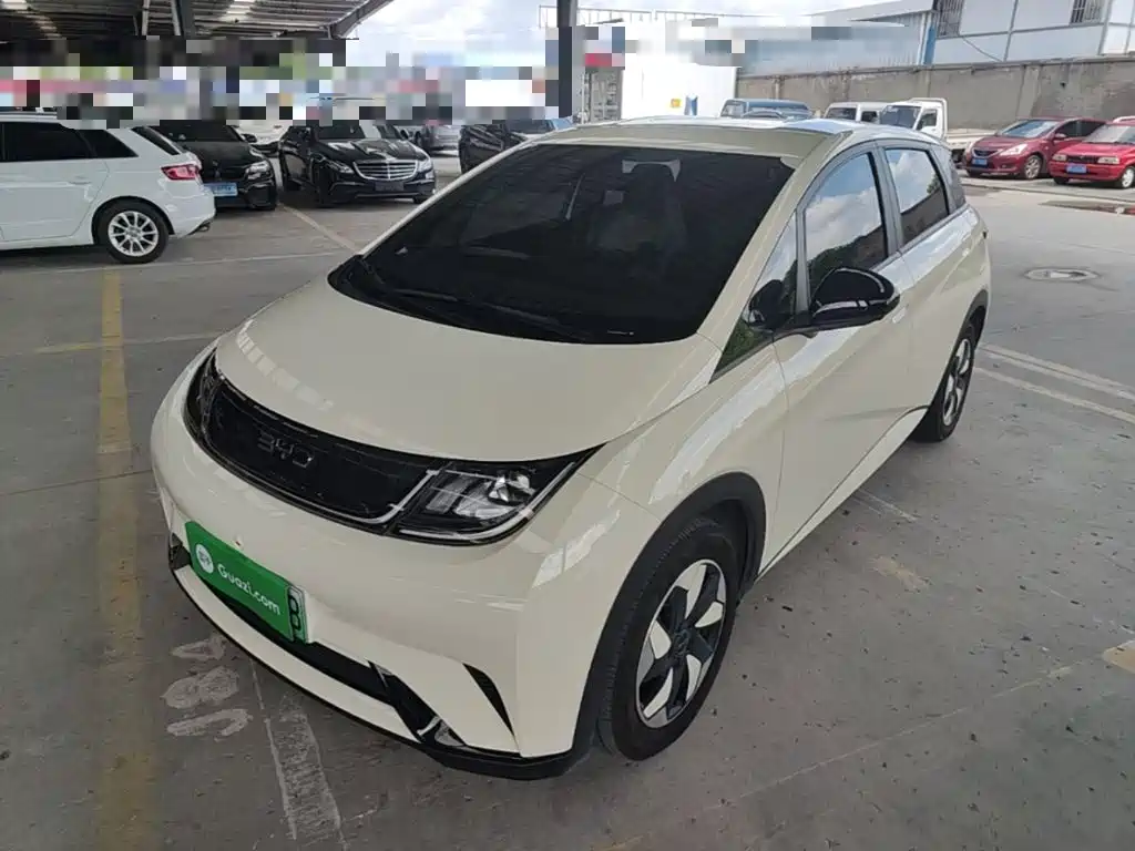 BYD Dolphin 2025