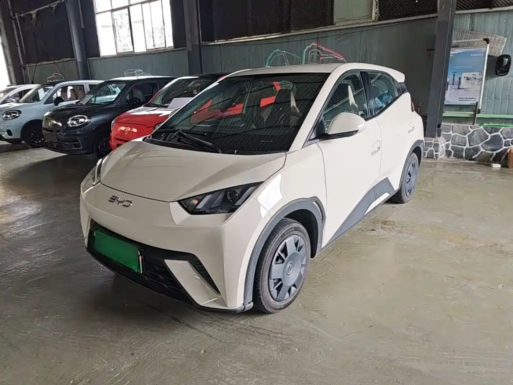 BYD Seagull 2024
