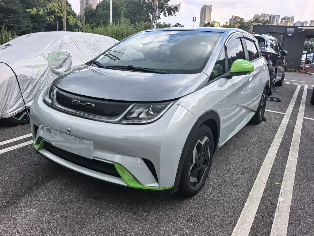 BYD Dolphin 2022