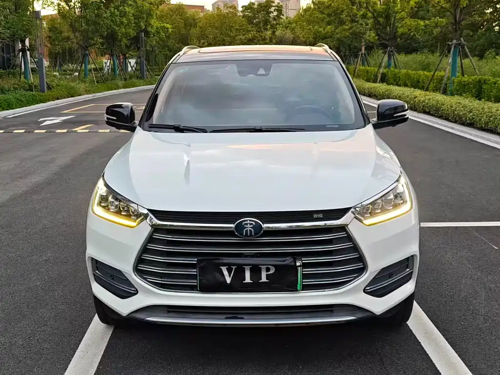 BYD New Energy 2019