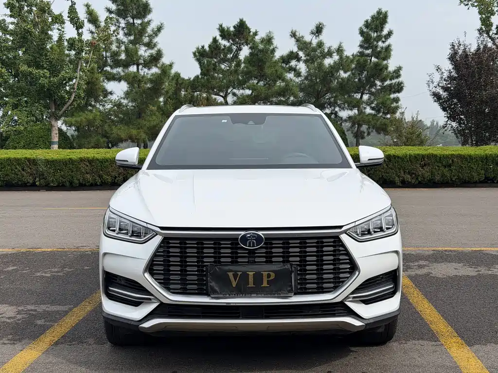 BYD PLUS 2020