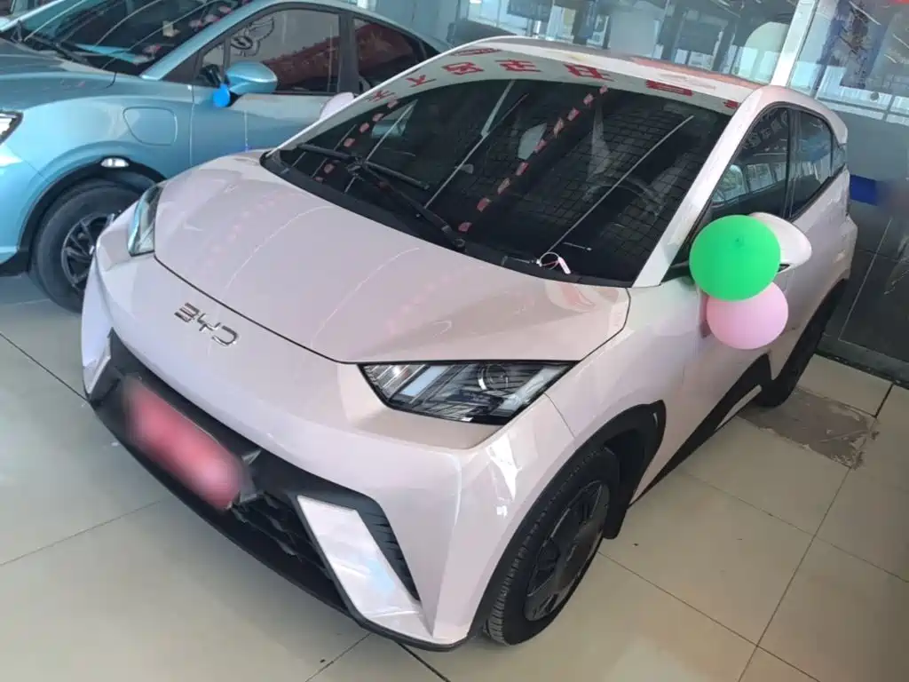 BYD Seagull 2024