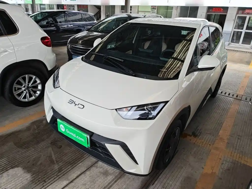 BYD Seagull 2025