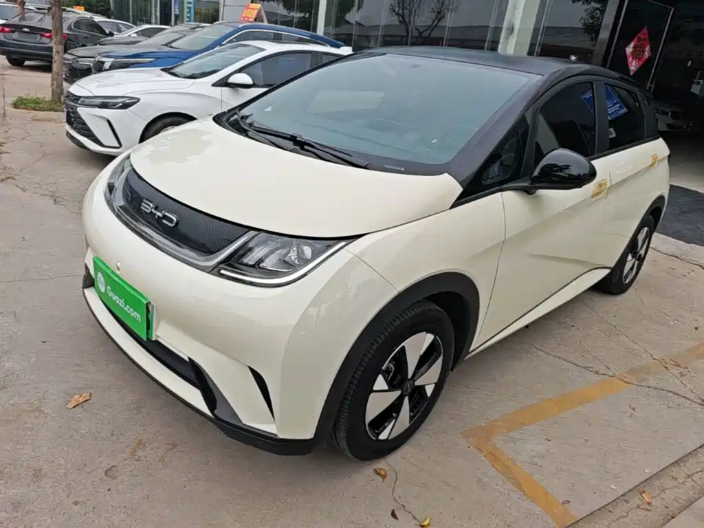 BYD Dolphin 2024