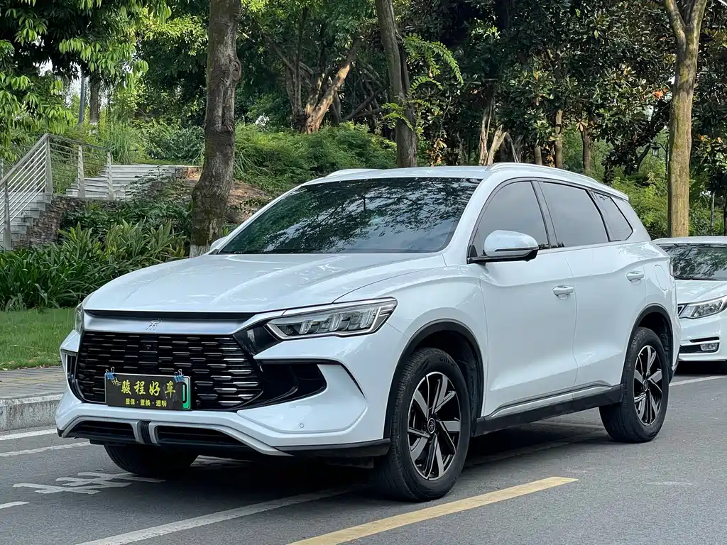 BYD Pro New Energy 2024