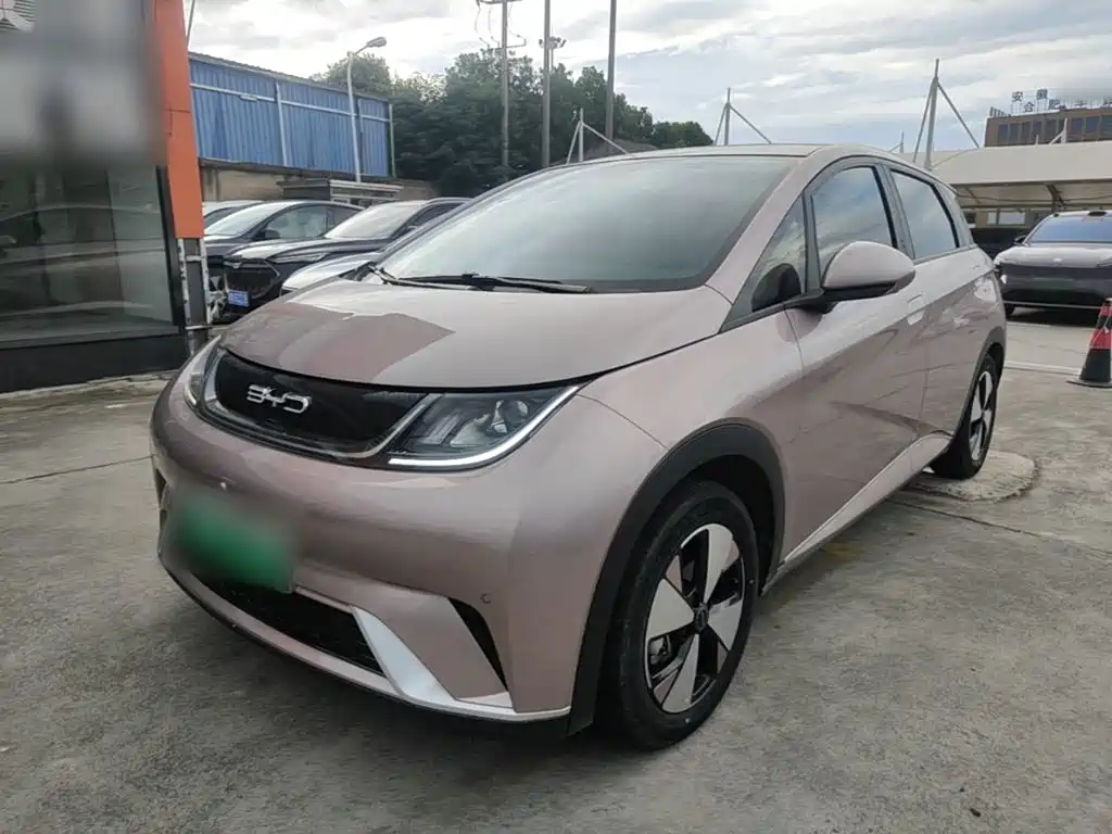 BYD Dolphin 2024