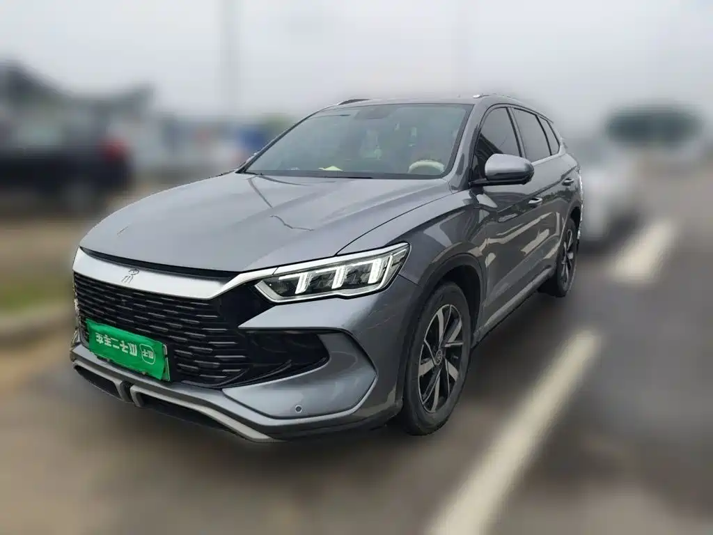 BYD Pro New Energy 2024