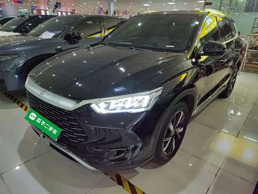 BYD Pro New Energy 2024