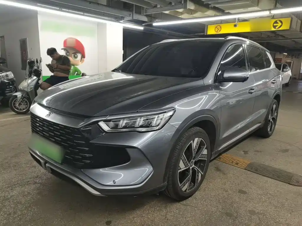 BYD Pro New Energy 2024