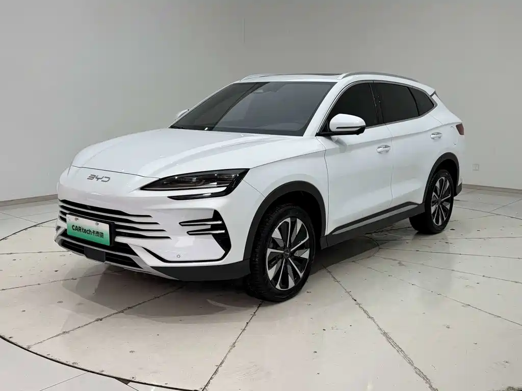 BYD PLUS New Energy 2024