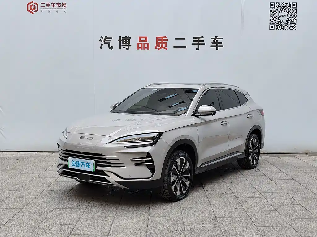 BYD PLUS New Energy 2024