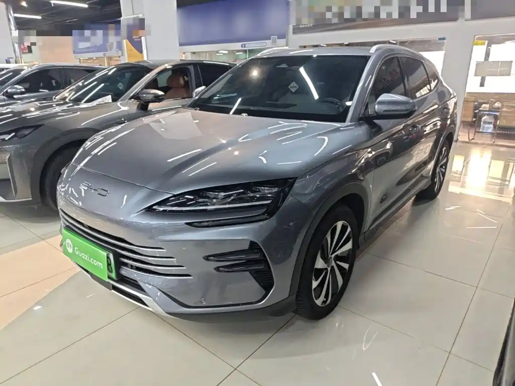 BYD PLUS New Energy 2024