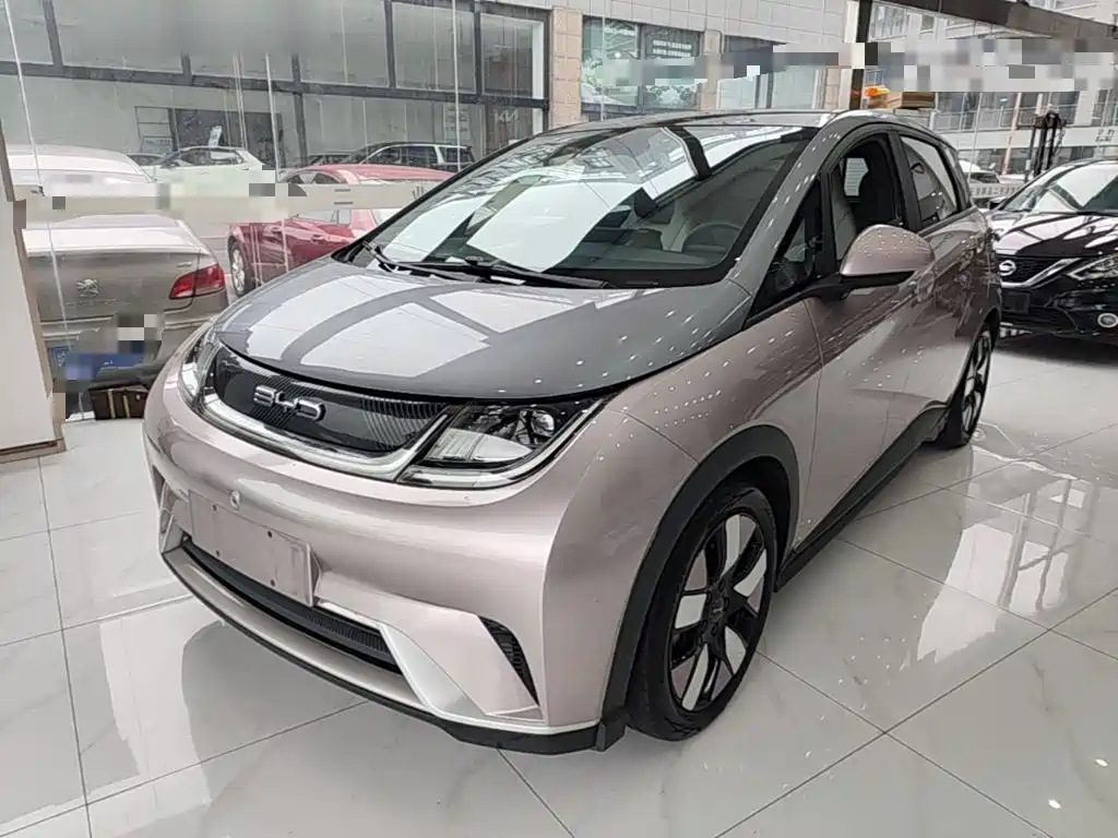 BYD Dolphin 2022