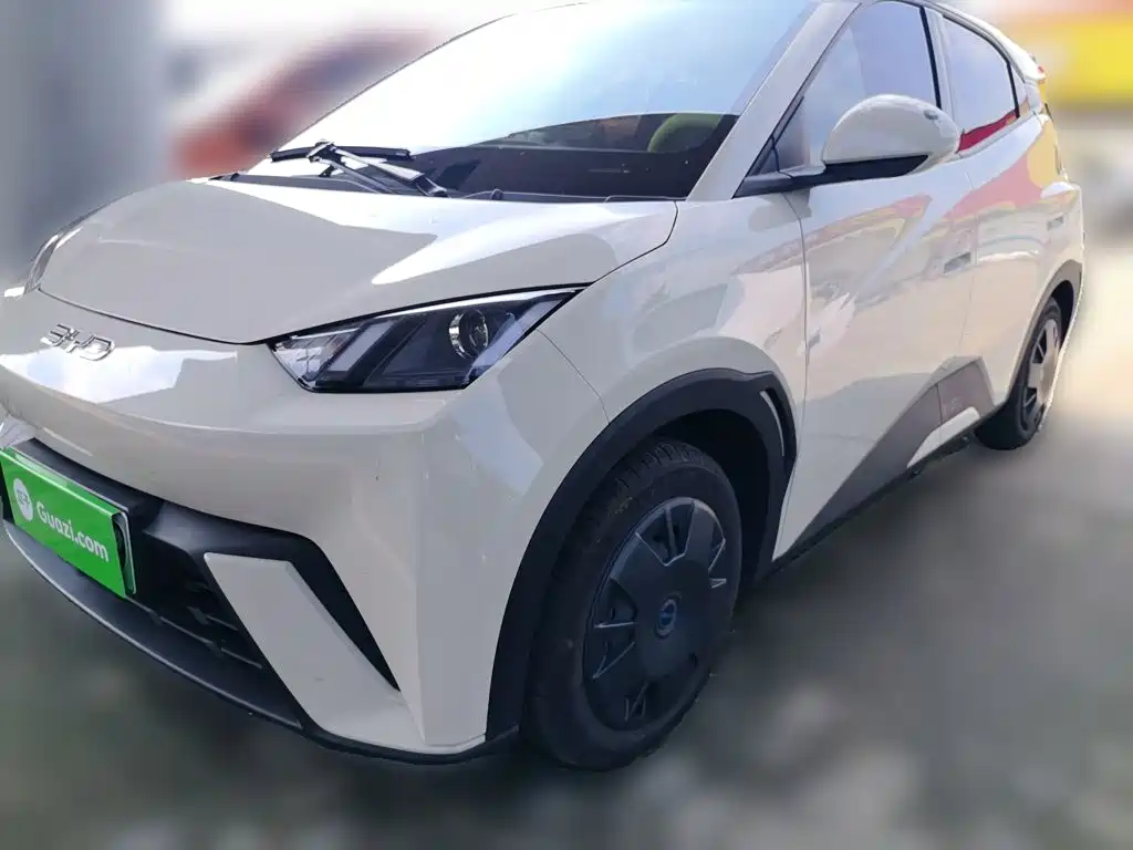 BYD Seagull 2024