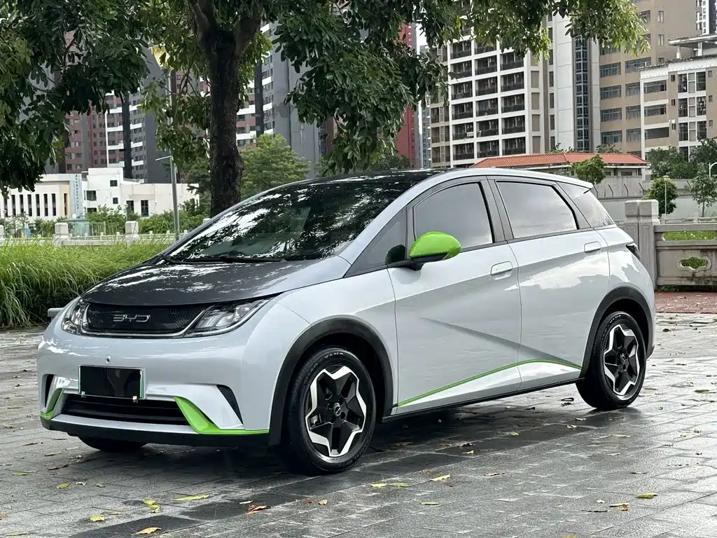 BYD Dolphin 2021