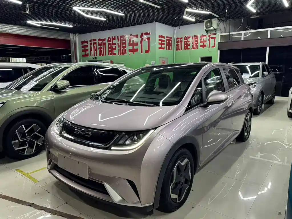 BYD Dolphin 2022
