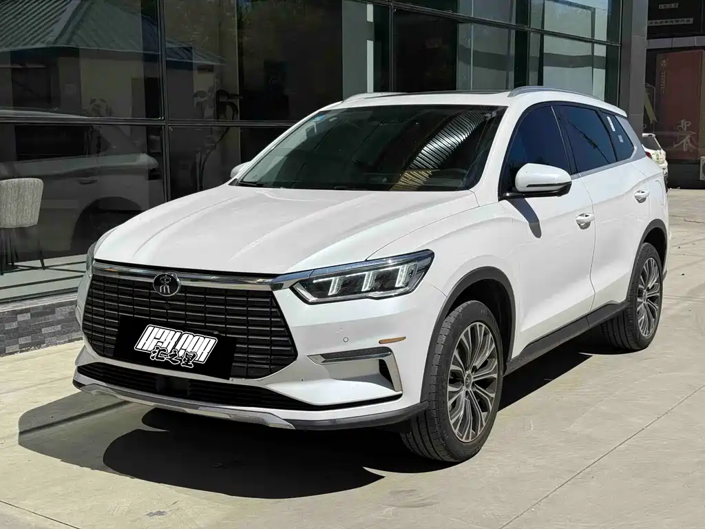 BYD Pro New Energy 2020