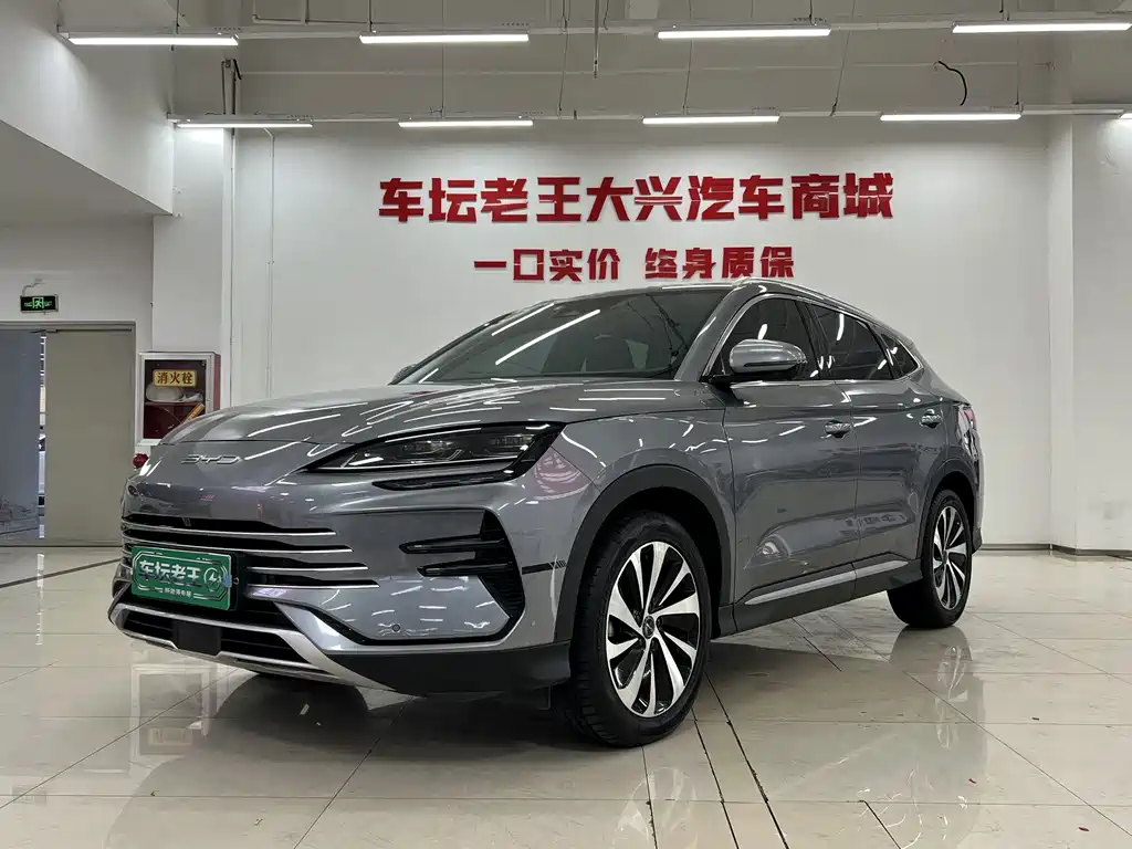 BYD PLUS New Energy 2023