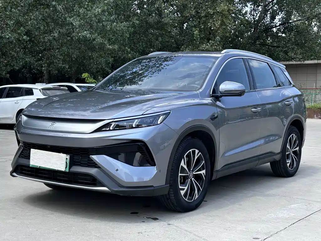 BYD Pro New Energy 2025