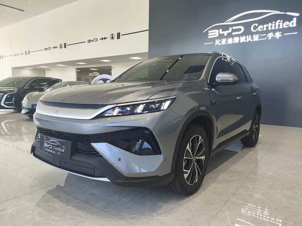 BYD Pro New Energy 2026