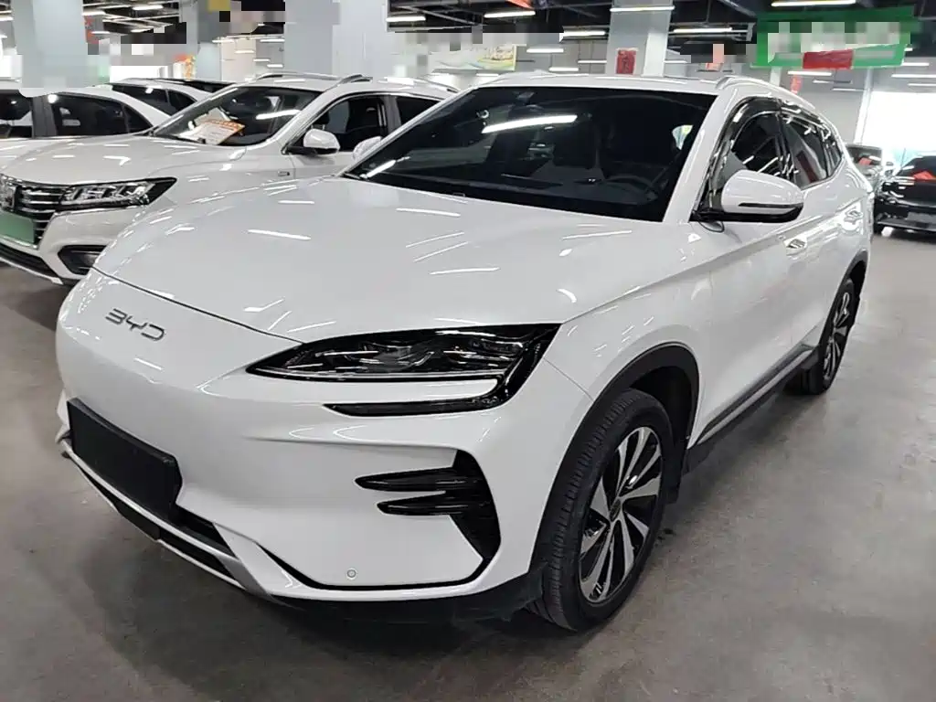 BYD PLUS New Energy 2024