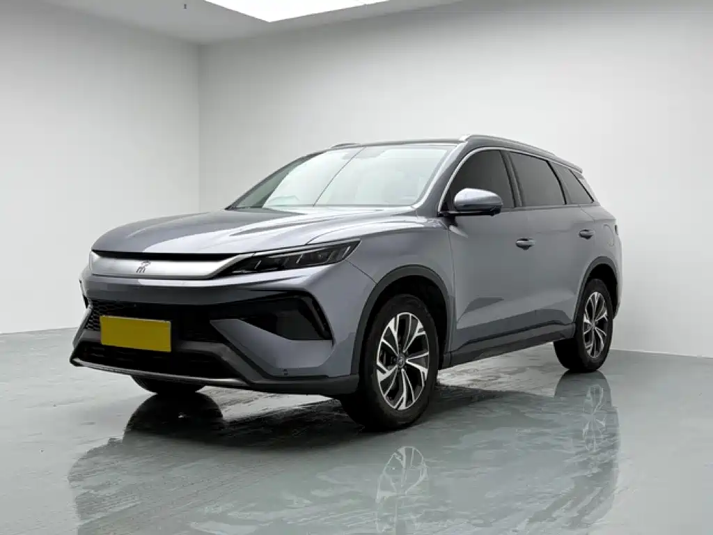 BYD Pro New Energy 2024