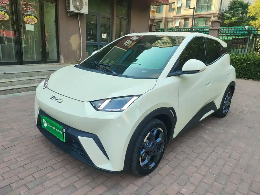 BYD Seagull 2024